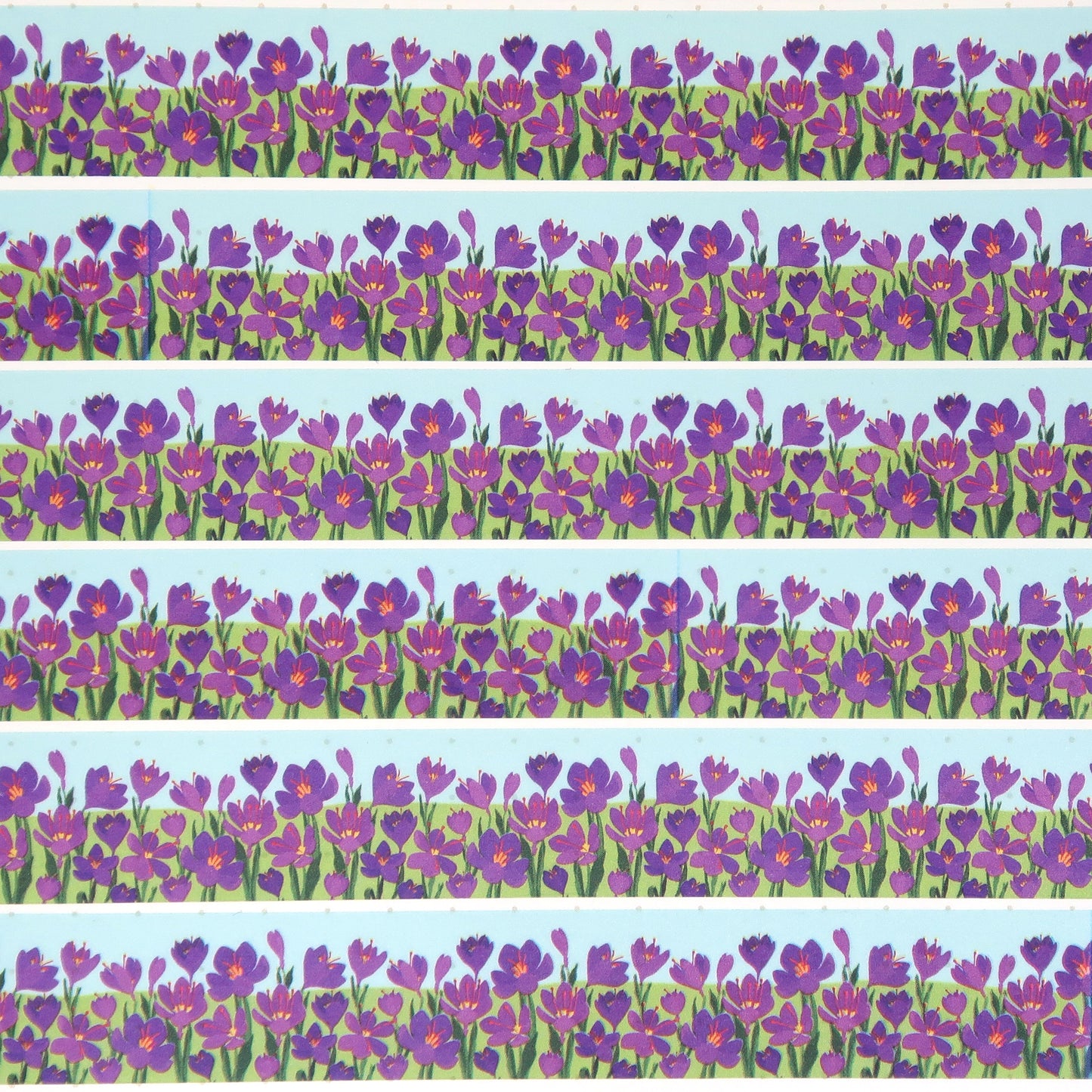 Crocus Border Washi Tape